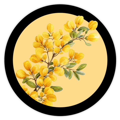 Elegante Elena – Deckeletikett 500g (Kunststoffdeckel)