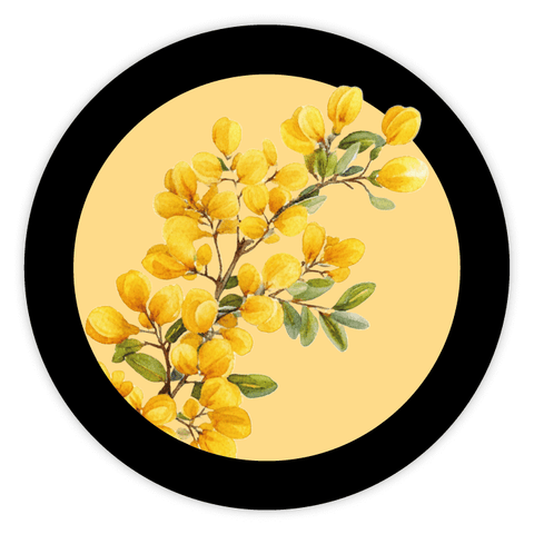 Elegante Elena – Deckeletikett 250g (Kunststoffdeckel)