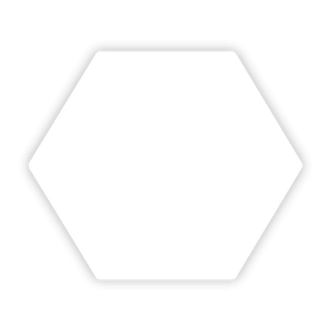 Hexagon Sticker 24x20mm - Blanko