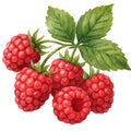 honeystickers_Bibliothek-Himbeere-02