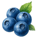 honeystickers_Bibliothek_Blaubeeren