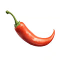 honeystickers_Bibliothek_Chilli_04