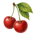 honeystickers_Bibliothek_Kirschen