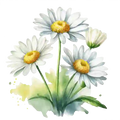 honeystickers_Bibliothek_Margerite_03