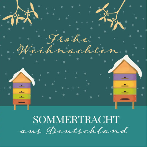 Winterlicher Waldemar